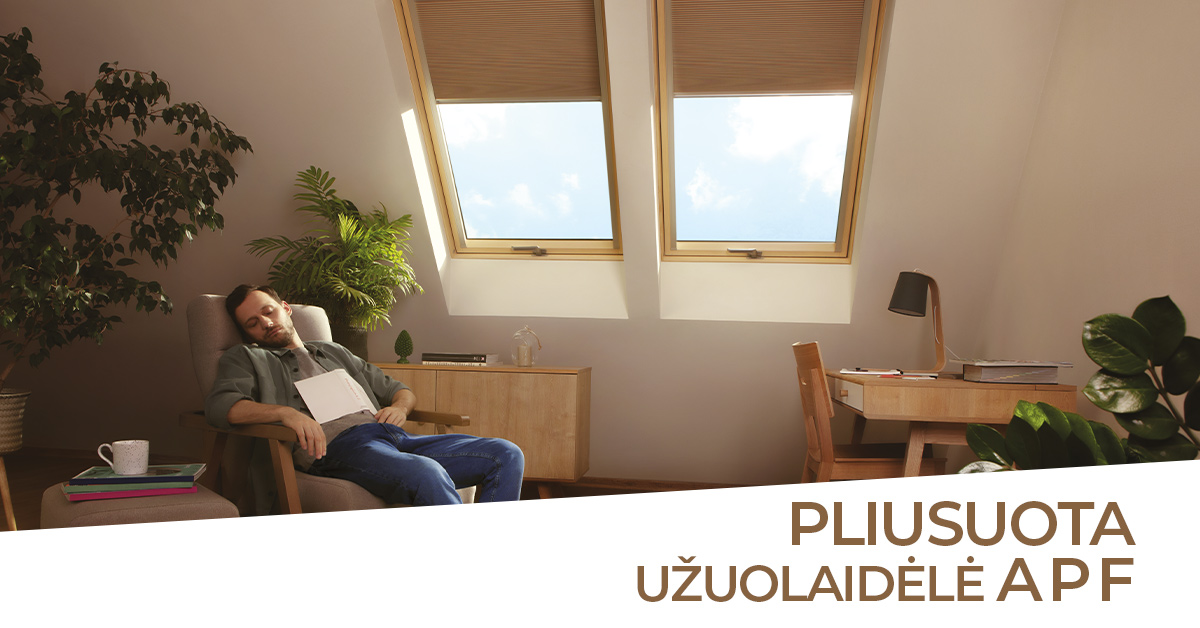 Langai ir žaliuzės