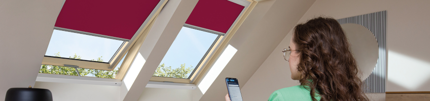 Centrinio varstymo elektra stogo langai - FAKRO